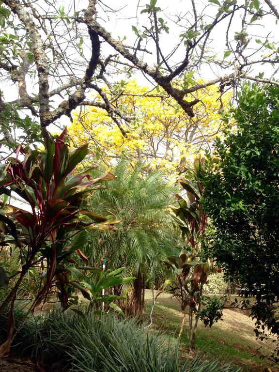 Aparthotel Villa Pacande & Rooms Pilas Bagian luar foto