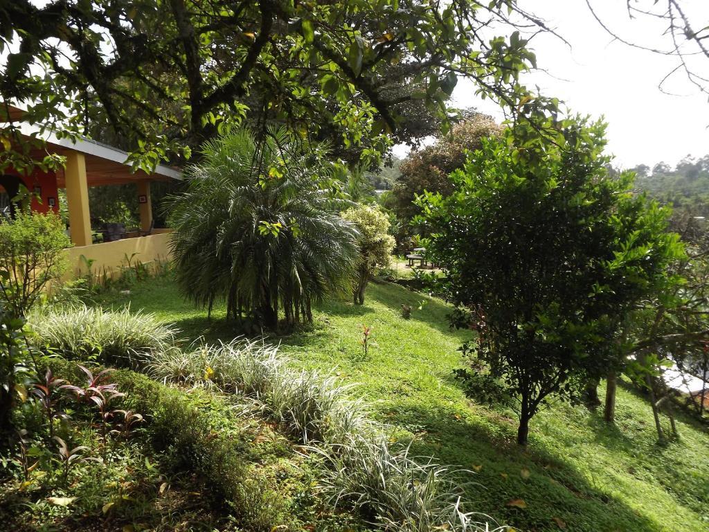 Aparthotel Villa Pacande & Rooms Pilas Ruang foto